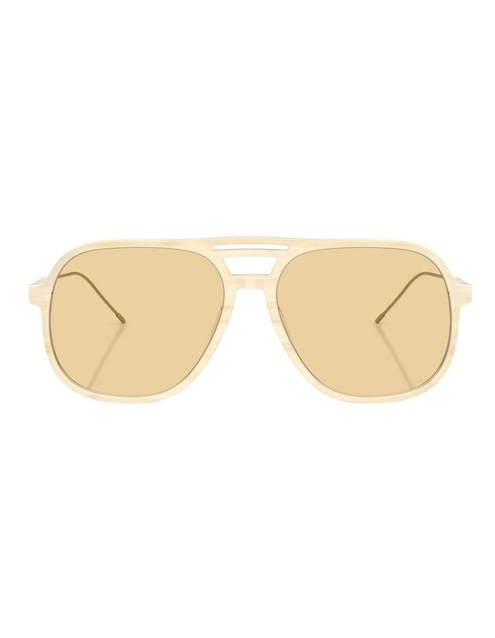 Brunello Cucinelli  Acetate Sunglasses in Brown image 1
