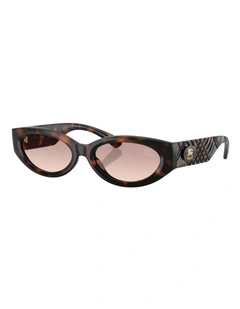 Burberry  Injected Sunglasses in Brown