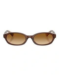 Burberry  Acetate Sunglasses in Brown