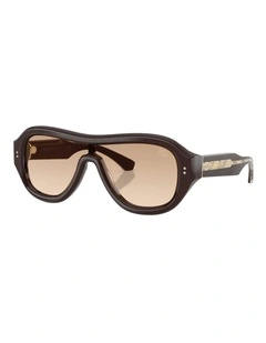 Burberry Acetate Sunglasses in Brown