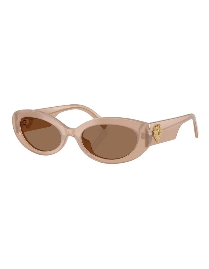 Dolce&Gabbana Acetate Sunglasses in Brown image 1