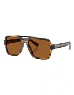 Dolce&Gabbana  Acetate Sunglasses in Tortoise