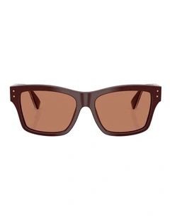 Dolce&Gabbana Acetate Sunglasses in Brown