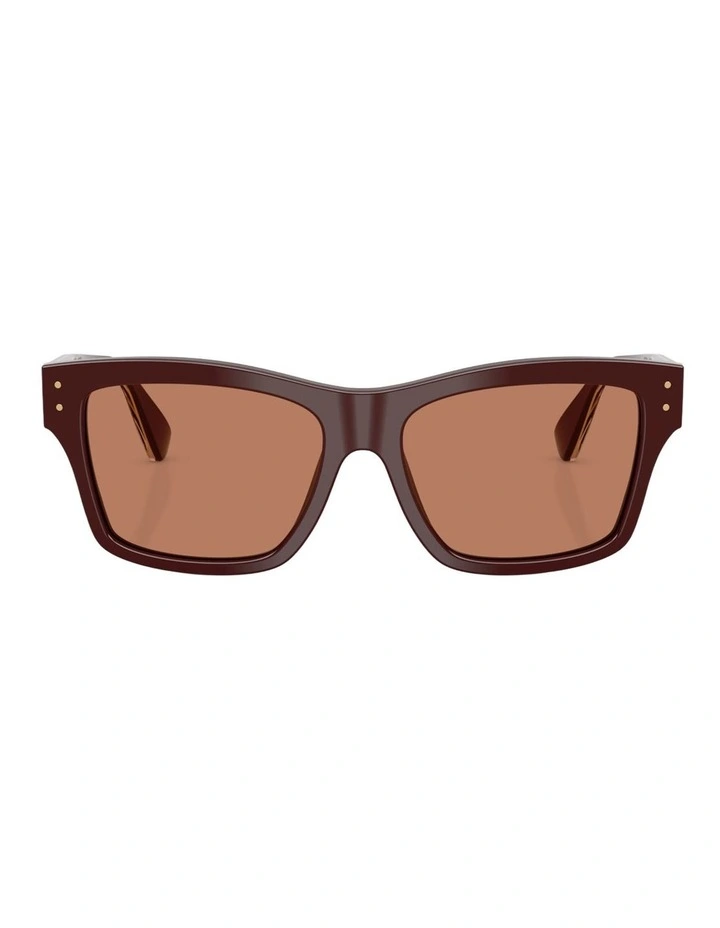 Dolce&Gabbana Acetate Sunglasses in Brown image 1