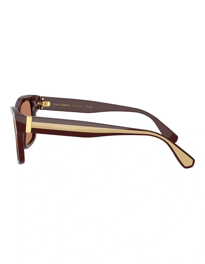 Dolce&Gabbana Acetate Sunglasses in Brown image 2