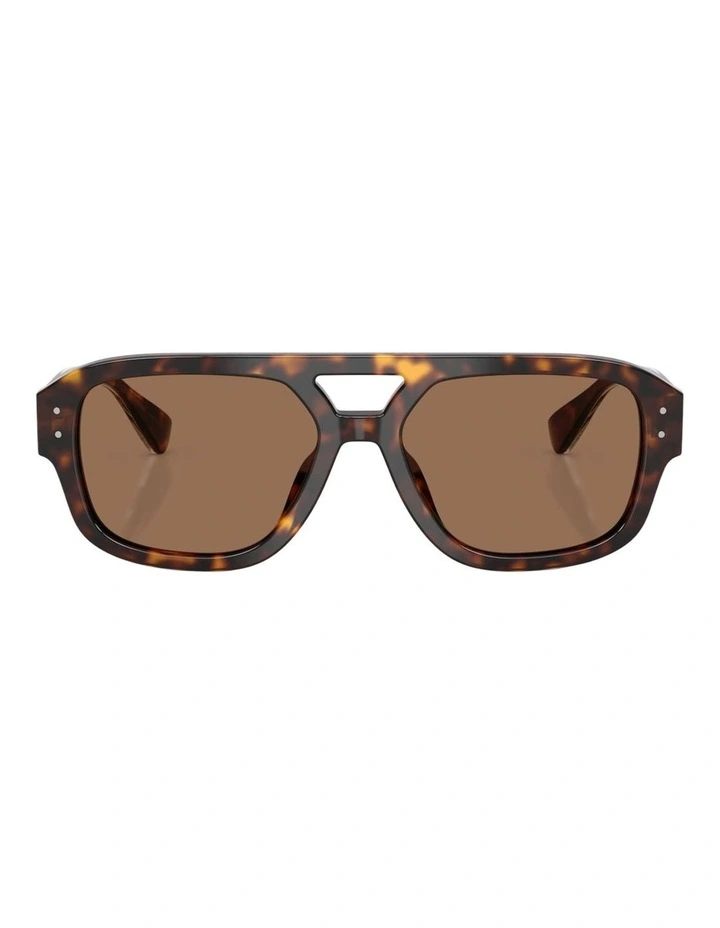 Dolce&Gabbana Acetate Sunglasses in Tortoise image 2