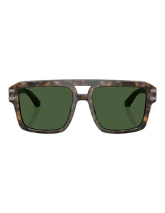Dolce&Gabbana  Acetate Sunglasses in Brown