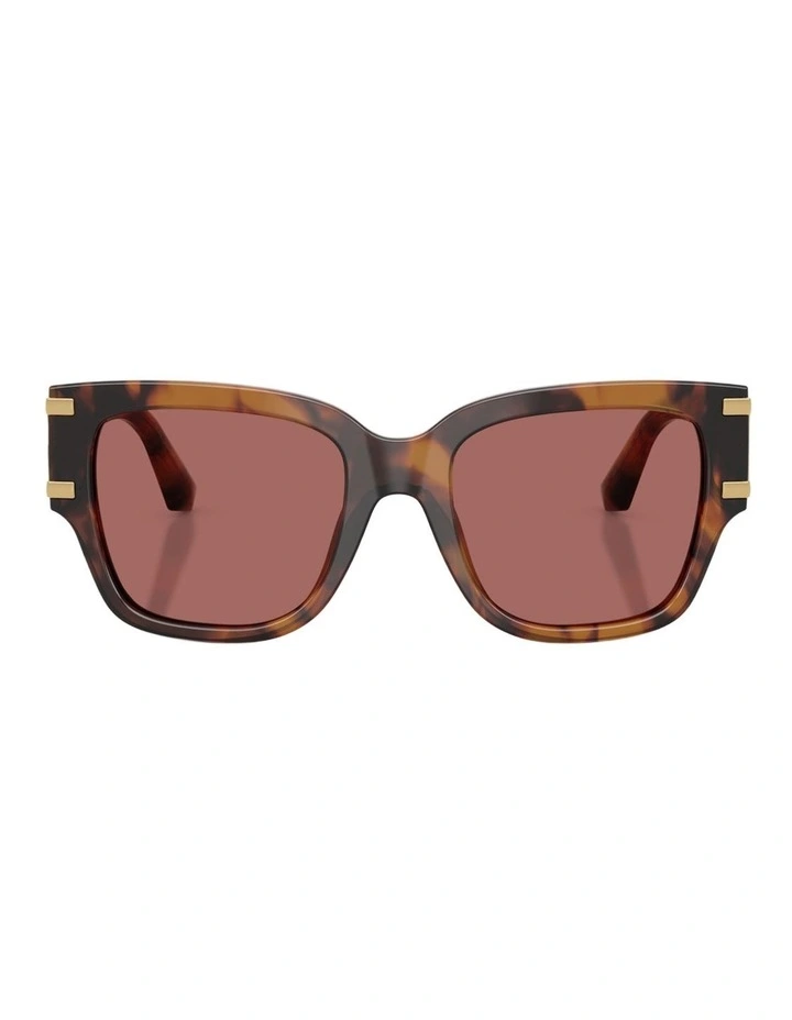 Dolce&Gabbana Acetate Sunglasses in Tortoise image 2