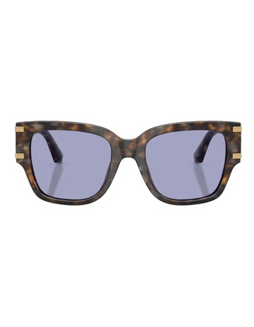 Brown Blue Havana colour