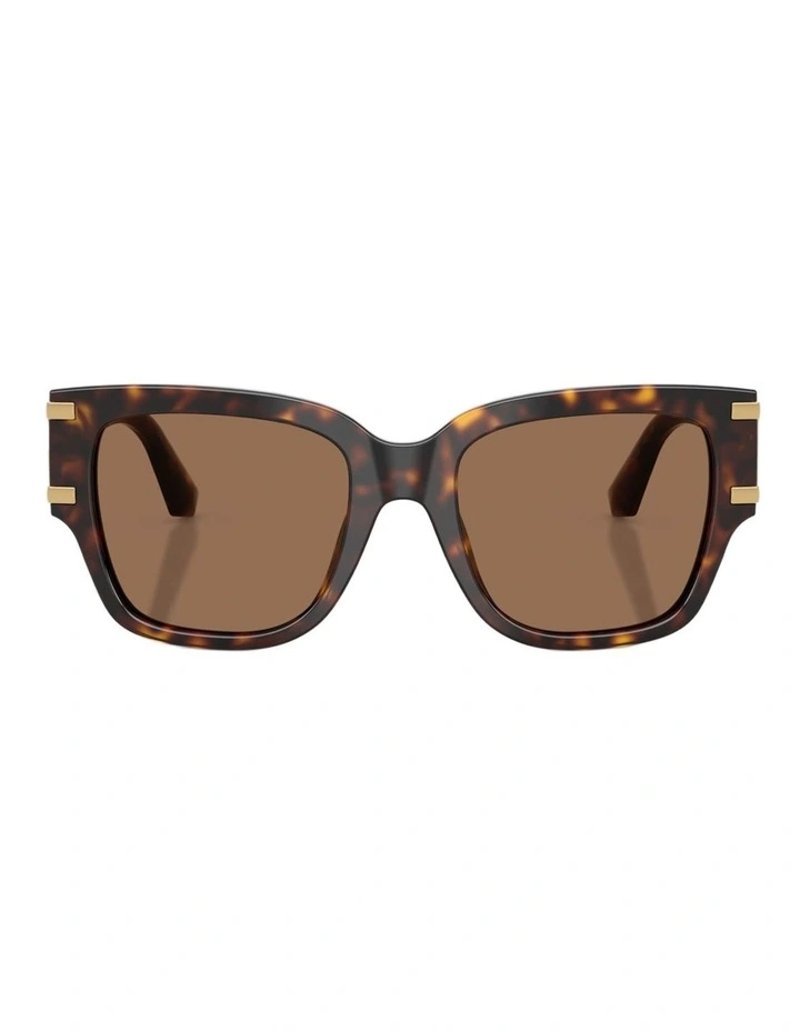 Dolce&Gabbana  Acetate Sunglasses in Tortoise image 1