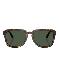 Dolce&Gabbana DG4566 Acetate Polarised Sunglasses in Tortoise