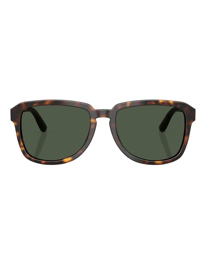 Dolce&Gabbana DG4566 Acetate Polarised Sunglasses in Tortoise image 1