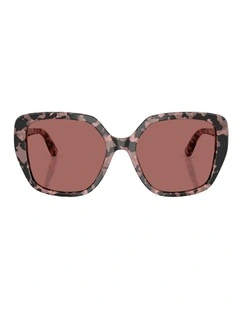 Dolce&Gabbana  Acetate Sunglasses in Tortoise