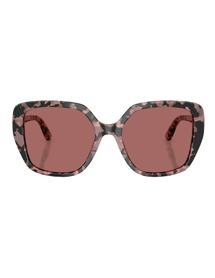 Dolce&Gabbana Acetate Sunglasses in Tortoise image 1