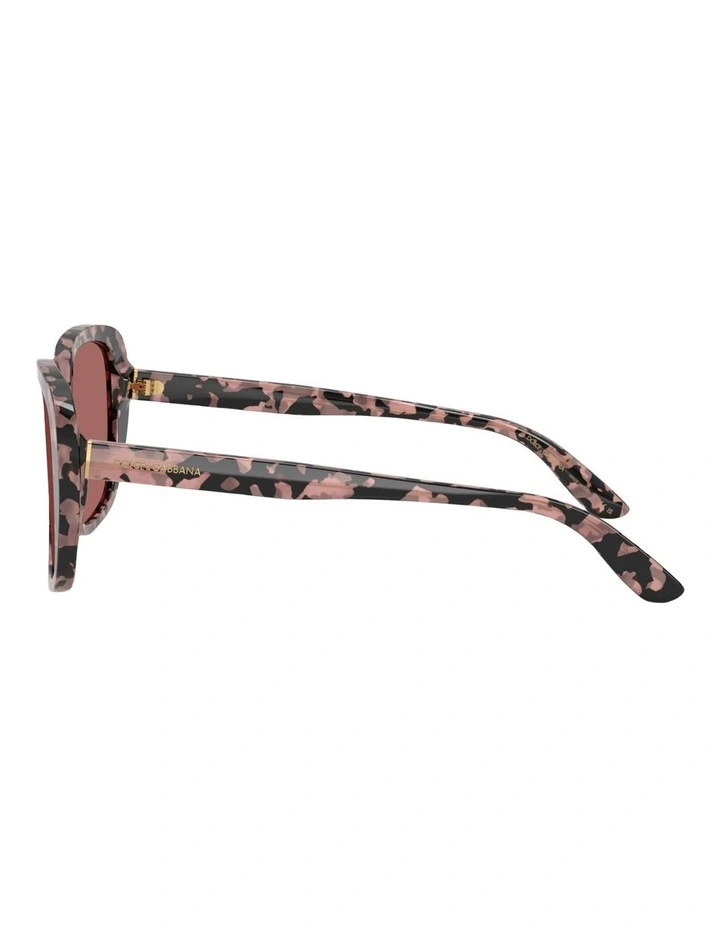 Dolce&Gabbana Acetate Sunglasses in Tortoise image 2