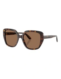 Dolce&Gabbana  Acetate Sunglasses in Tortoise