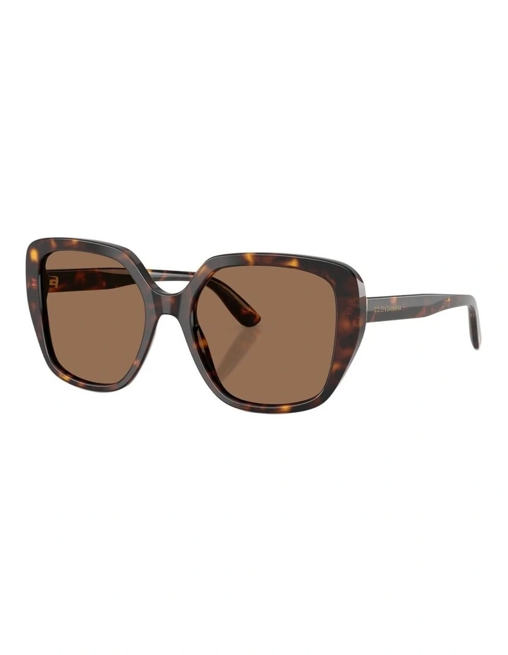 Dolce&Gabbana Acetate Sunglasses in Tortoise image 1