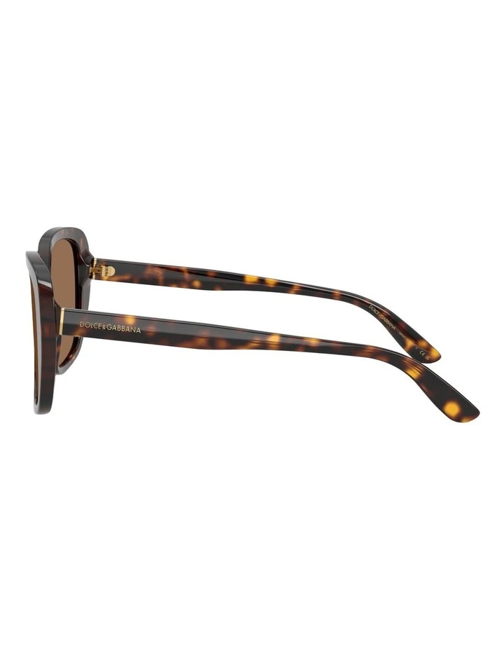 Dolce&Gabbana Acetate Sunglasses in Tortoise image 3
