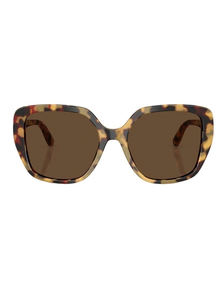 Dolce&Gabbana Acetate Sunglasses in Tortoise image 1