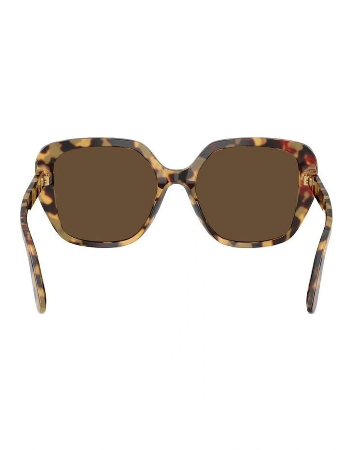 Dolce&Gabbana Acetate Sunglasses in Tortoise image 2