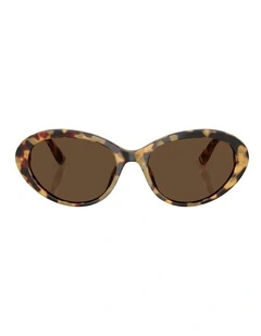 Dolce&Gabbana  Acetate Sunglasses in Tortoise