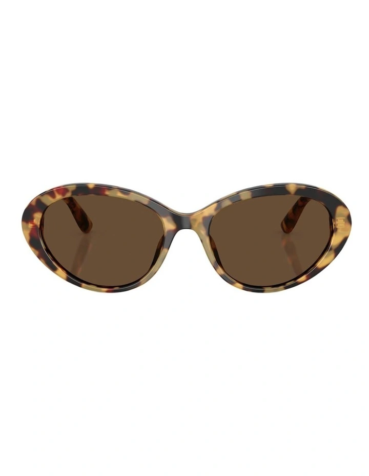 Dolce&Gabbana Acetate Sunglasses in Tortoise image 1