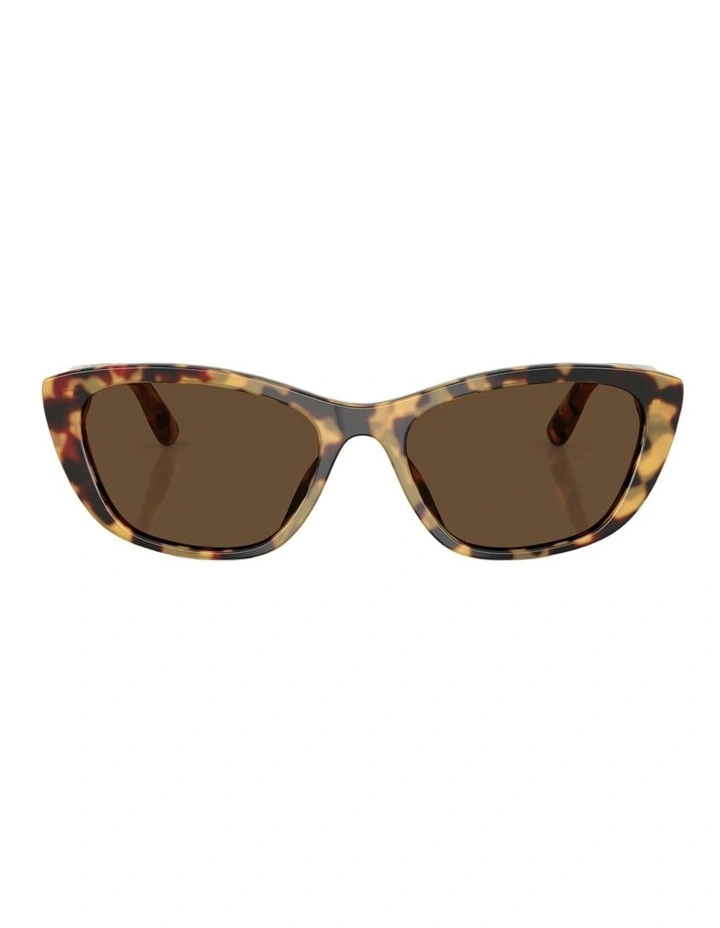 Dolce&Gabbana Acetate Sunglasses in Tortoise image 1