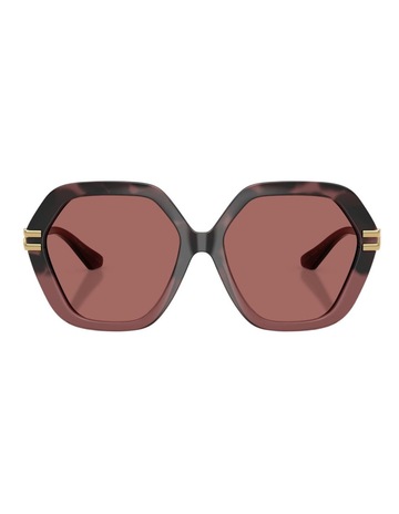 Burgundy Havana Gradient colour