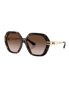 Dolce&Gabbana  Injected Sunglasses in Tortoise