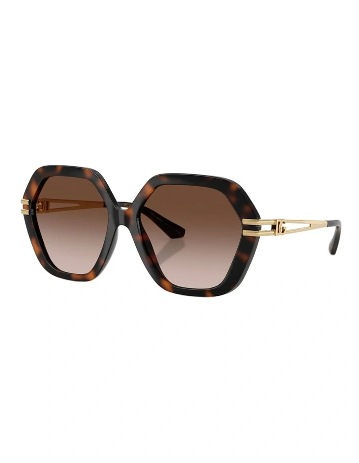 Dolce&Gabbana Injected Sunglasses in Tortoise image 1
