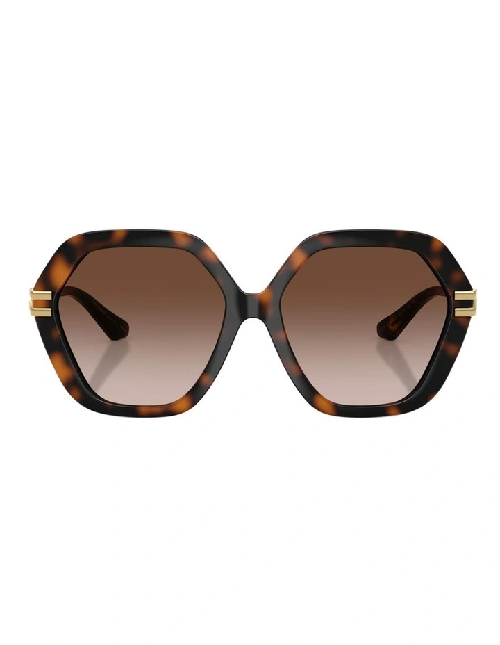 Dolce&Gabbana Injected Sunglasses in Tortoise image 2