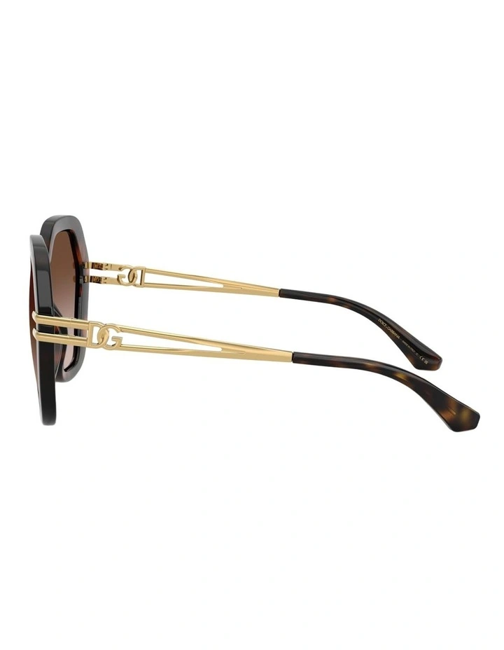Dolce&Gabbana Injected Sunglasses in Tortoise image 3