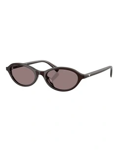 Emporio Armani  Acetate Sunglasses in Brown
