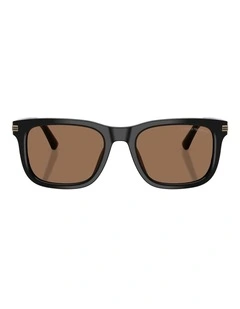 Emporio Armani  Acetate Sunglasses in Black