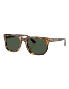 Emporio Armani  Acetate Polarised Sunglasses in Brown