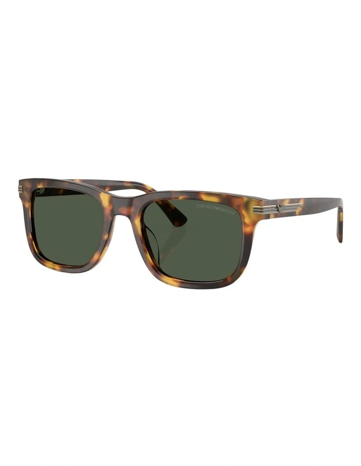 Emporio Armani Acetate Polarised Sunglasses in Brown image 1