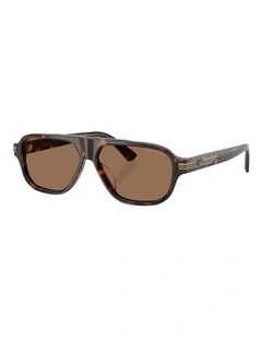 Emporio Armani  Acetate Sunglasses in Tortoise