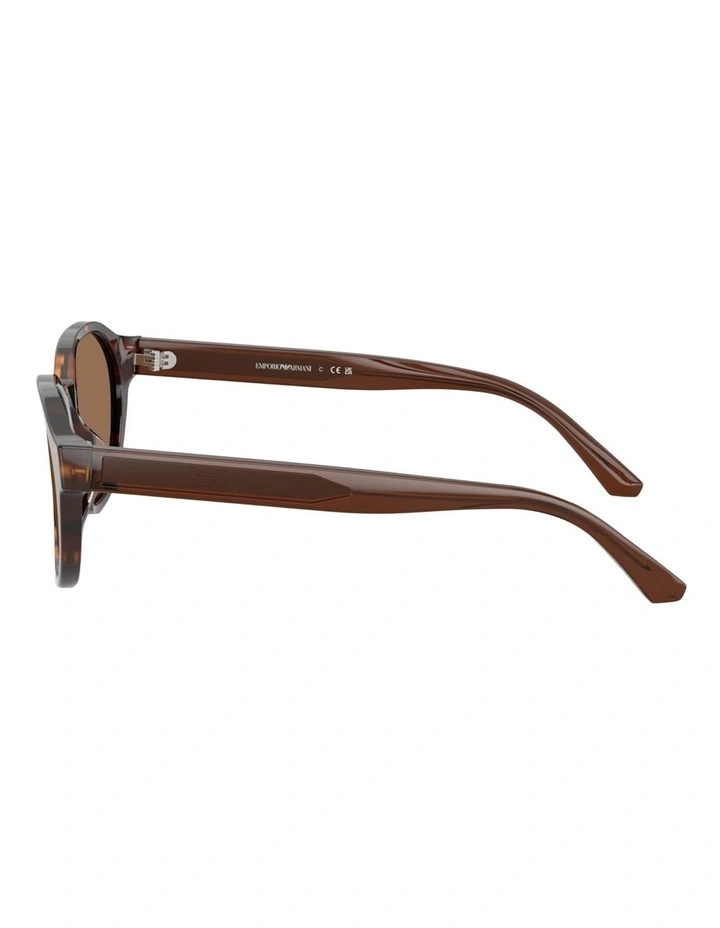 Emporio Armani Acetate Sunglasses in Tortoise image 3