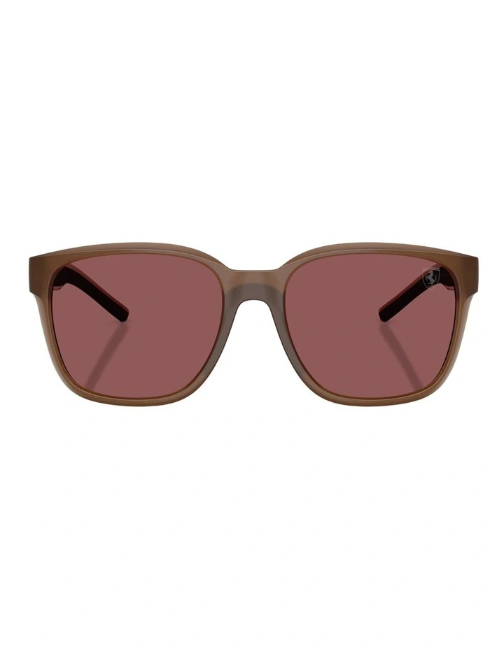 Scuderia Ferrari Injected Sunglasses in Brown image 2