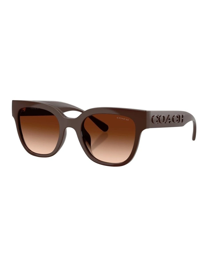 Coach CFT88 Injected Sunglasses in Brown image 1