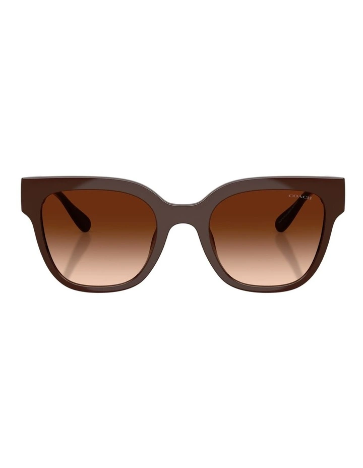 Coach CFT88 Injected Sunglasses in Brown image 2