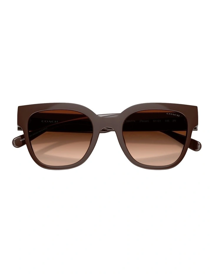 Coach CFT88 Injected Sunglasses in Brown image 4