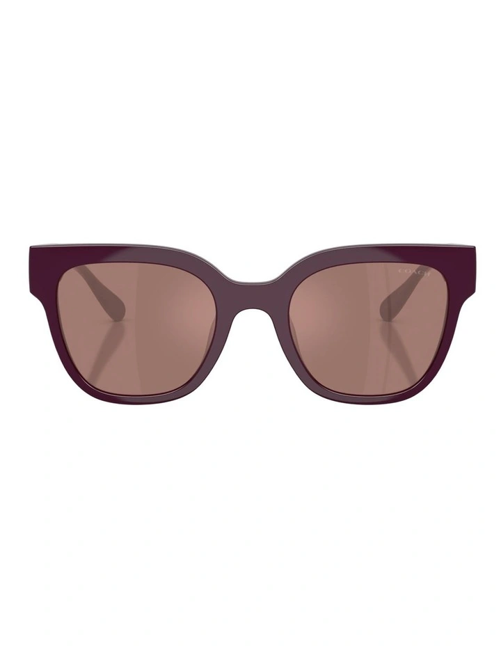 Coach CFT88 Injected Sunglasses in Violet image 1