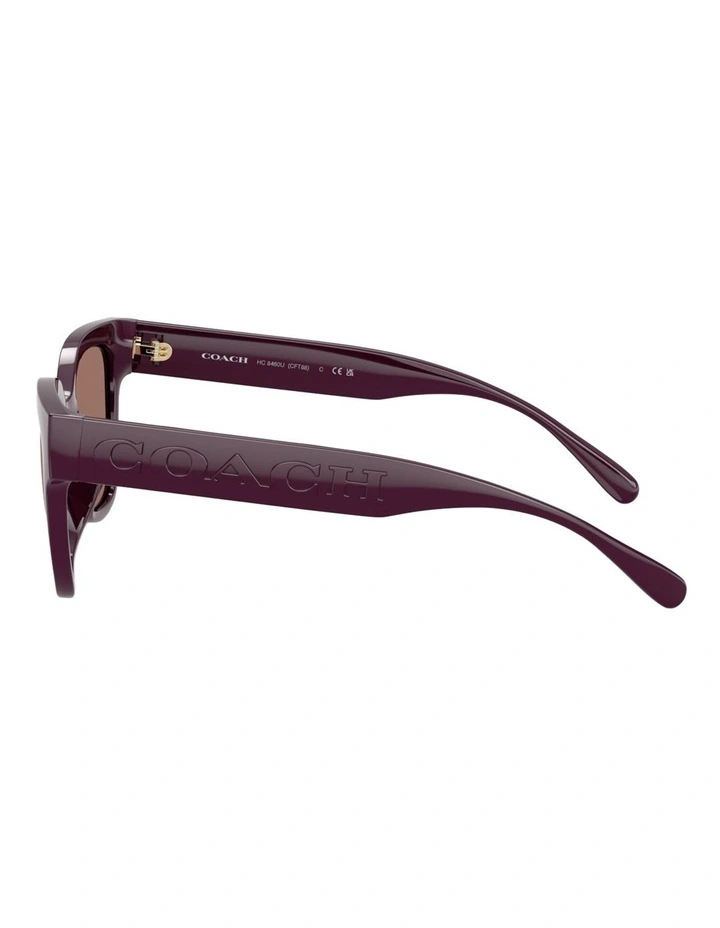Coach CFT88 Injected Sunglasses in Violet image 2