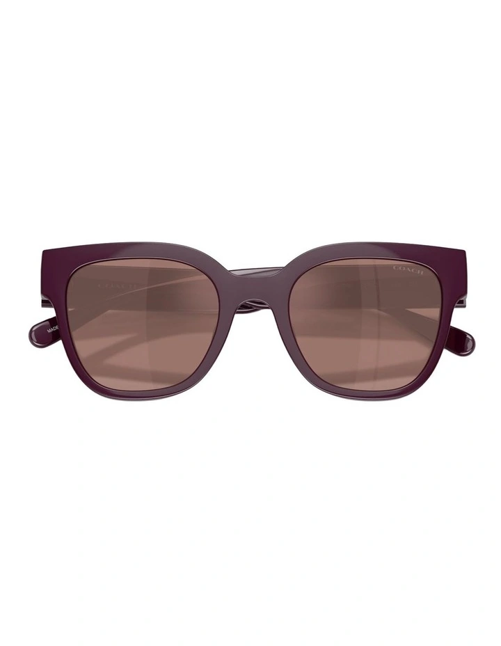 Coach CFT88 Injected Sunglasses in Violet image 3