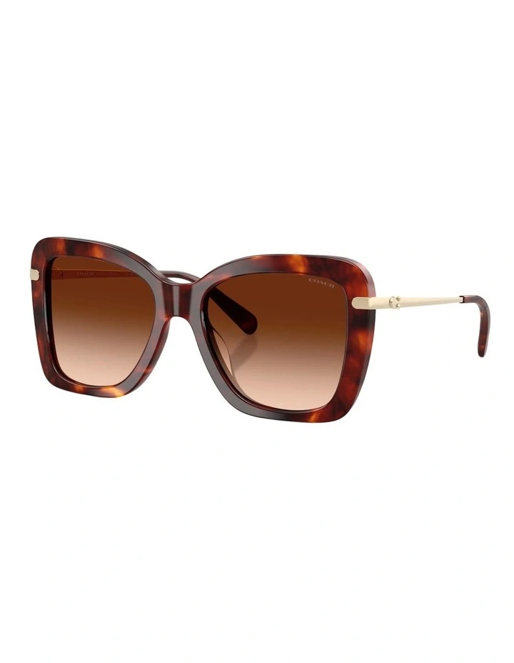 Coach CFU03 Acetate Sunglasses in Tortoise image 1
