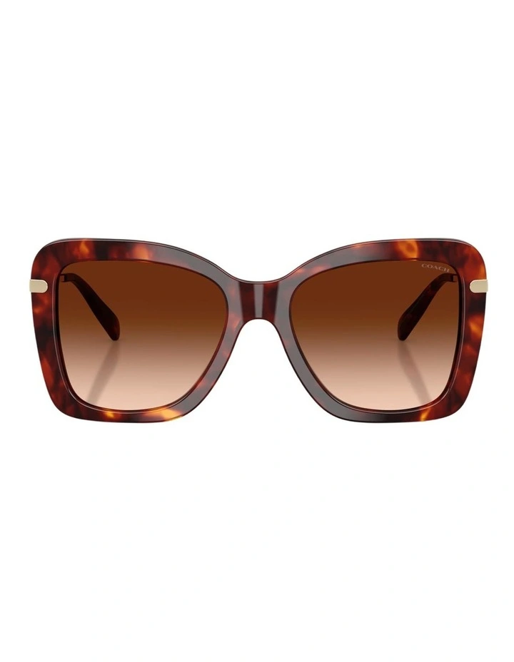 Coach CFU03 Acetate Sunglasses in Tortoise image 2