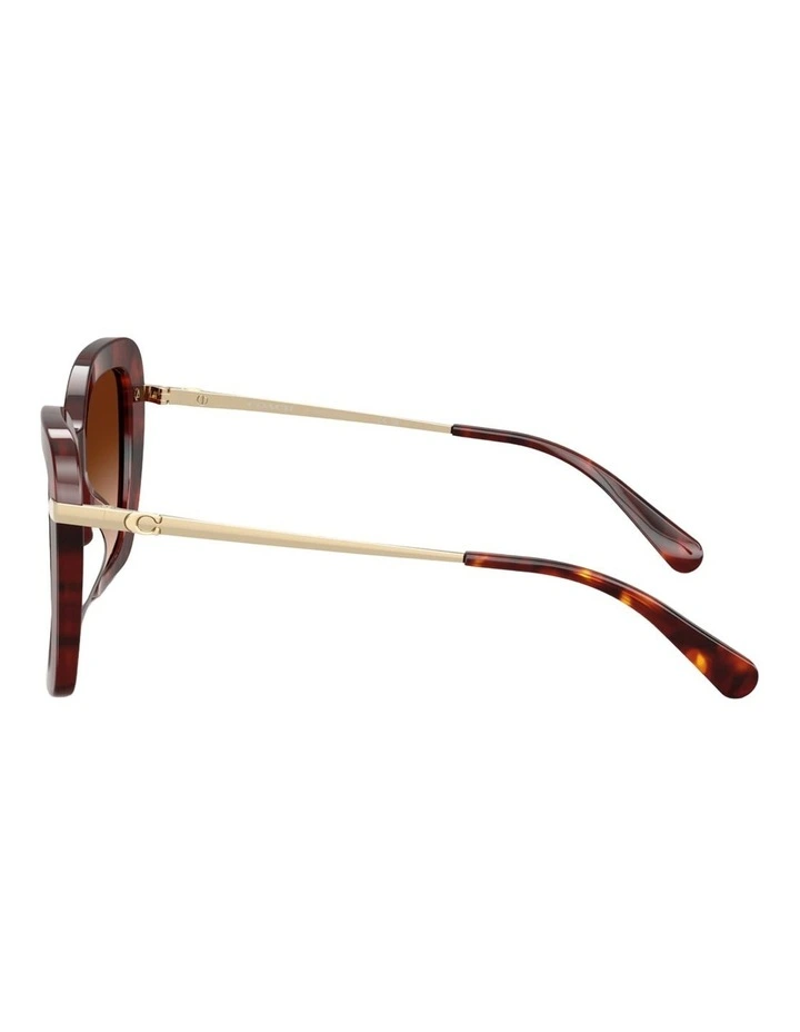 Coach CFU03 Acetate Sunglasses in Tortoise image 3