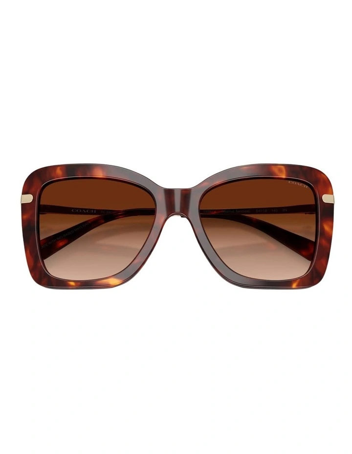 Coach CFU03 Acetate Sunglasses in Tortoise image 4