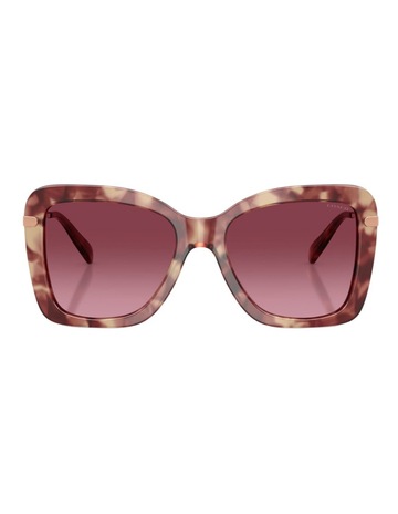 Purple Tortoise colour